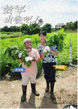 云鲸航线科幻冒险番剧海报